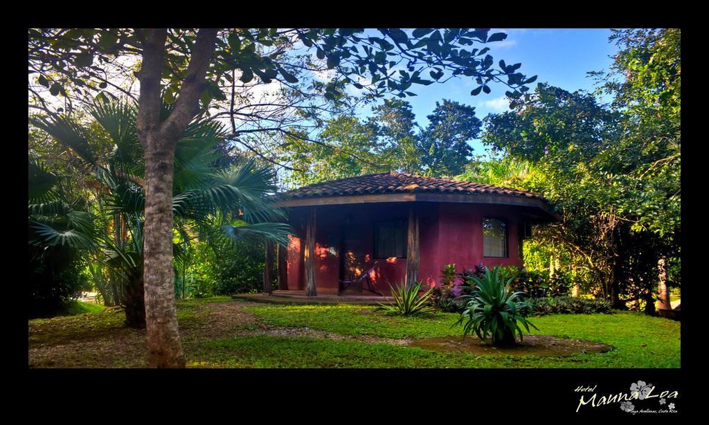Hotel Mauna Loa Pinilla Quarto foto